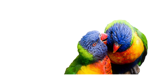 Impresión digital a color tabloide